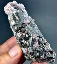 431 CT Terminated Natural Pink Tourmaline Crystals bunch on Smoke Quartz @ Afgan picture