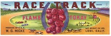 RACE TRACK Vintage Lodi CA Grape Crate Label Sports, Horse, *AN ORIGINAL LABEL* picture