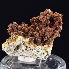 Descloizite ps Vanadinite Crystals | Robinson District, Nevada - NEW FIND picture