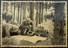 Vintage WWII Original Photo German Soldiers Officers Examining Map In Forest WW2 picture