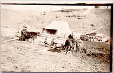 c1909 Rural Farmyard with Cows & Wagon RPPC Postcard - Scenic Homestead View picture