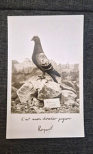 RPPC WWI Famous Carrier Pigeon Vaillant, Unposted picture