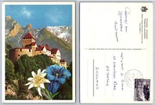 Vaduz Castle Liechtenstein Postcard - Edelweiss Gentian Flowers 1950 Posted picture