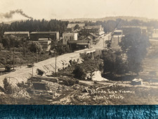 RPPC Birds Eye View dirt road Hart Michigan Posted c1910 CR Childs Photo picture