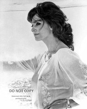 SOPHIA LOREN LEGENDARY ACTRESS - 8X10 PUBLICITY PHOTO picture