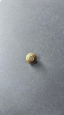 Antique Devonshire Regiment Brass Uniform Button British Army Military Victorian picture