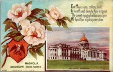 Mississippi Magnolia State Flower Jackson Capitol Vintage Postcard 4P23-25 picture
