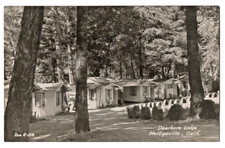 ZAN~REAL PHOTO POSTCARD~DEERHORN LODGE~PHILLIPSVILLE,CA~Humboldt County~REDWOODS picture