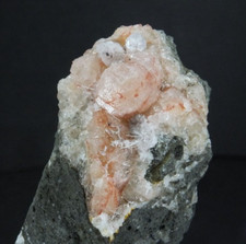 Gmelinite & Analcime Crystals. Cairns Bay Flinders. Victoria  (EA9485) zeolots picture