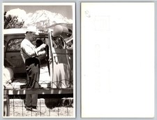 RPPC Mount Shasta Man Cowboy Hat Vintage Car Auto Real Photo Postcard picture