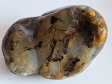 Montana Yellowstone River Agate Lapidary 1 lb 11 oz Rough Stone Dendrites picture