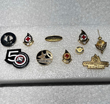 Vintage Pin Lot 10 Pc Portland Winterhawks 50th Red Cross Nursing Avis Corporate picture