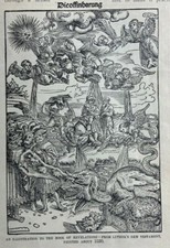 1901 Rare Books in New York Collections and Libraries illustrated picture