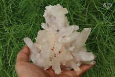 Antique Rare White Himalayan Crystal Quartz Rough Specimen 675 Gms Home Decor picture