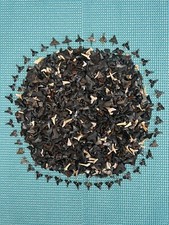 LOT OF 100 ( PARTIAL ) Fossilized Shark Teeth & Bonus Wire Wrapped Pendant  picture