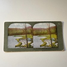 The Largest Beaver Dam In The World Beaver Lake Antique Stereoview Card 5H6-6 picture