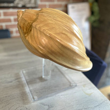 Vintage Sarreid Ltd Large Hand Carved Wood Conch Shell 15” Made in Spain picture