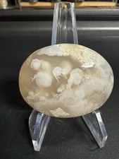 7819 Flower Agate Palm Stone Uv Reactive Std Not Included .9”TH 1.6”W 2.0”L 2 Oz picture