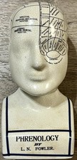 Fowler Phrenology Head Bust L.N. Fowler Anatomical Head Bust Vintage picture