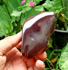 RARE 73 GR NATURAL AMBER PARTY POLISHED,REDDISH YELLOWISH BROWN picture
