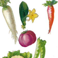 1888 French Chromo Miniature FANTASY GARDEN VEGETABLES, Die-Cut Tokens 1-3/4 - 3 picture