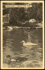 Postcard MI Traverse City Michigan Clinch Park Ducks c1950s E23 picture