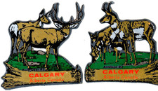 Calgary Alberta Canada Vintage Decals Mule Deer & Antelope picture