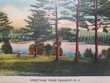 C 1940 Grassy Knoll Trees Lake View Greetings From Tennent NJ Linen Postcard picture