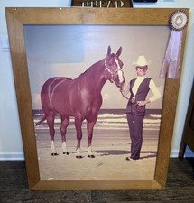 GIANT VTG “Dixie Coast” Exhibition Horse Photo 56x46” Richard McLean? Brachot? picture
