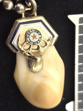 Antique 14K Gold Elks Tooth Pendant Fob BPOE Fraternal Enamel Clock + Pinbacks picture