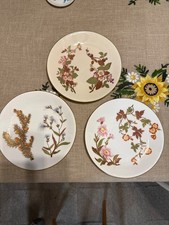 Antique Royal Worcester Plates Set of 3 Hand Painted Botanical Gold W1701 W1699 picture