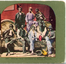 Native Cane Grinders In Sunny Florida--Stereoview #LE79 picture