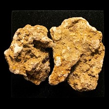 Lot of 2 Gold-Bearing Ore Mineral Specimen Rock Display Collectible Specimen  picture