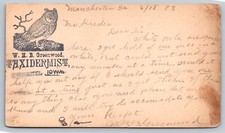 1883 UX7 scarce MANCHESTER IOWA TAXIDERMIST W.H.B GREENWOOD Owl graphic postcard picture