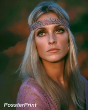 SHARON TATE - 1960s Film Actress 💜 8x10 Publicity Photo - Hollywood Glamour picture