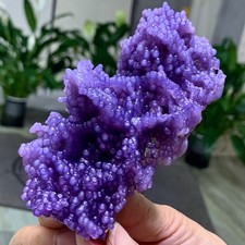 143G Natural purple grape agate quartz crystal granular mineral specimen picture