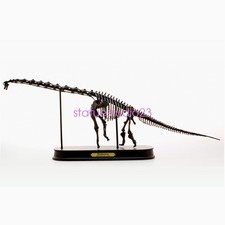 Brachiosaurus Dinosaur Skeleton Statue Collectible Model Display Special Color picture