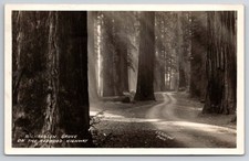 Photographer ER Freeman Signed Hartsook CA DPO Cancel 1928 Richardson Grove RPPC picture
