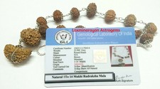 Rudraksha Siddha Mala 1 to 14 Mukhi with GouriShankar & Ganesh in Silver plated picture