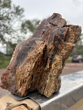 ☘️RR⛏️: Rough Display Piece Of Arizona Petrified Wood, 3.25 Lb 🌈 picture