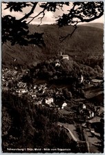 Schwarzburg East Germany Thuringian Forest View From Trippstein RPPC Postcard picture
