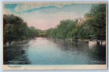 c1910 Ann Arbor Michigan Vintage Postcard River Scene Green Forest Trees Posted picture