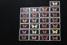 CVR184 Abdulla Cigarette Cards British Butterflies 1935 Complete Set 25 picture