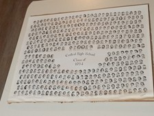 Kalamazoo Michigan Central high School class of 1954 PHOTO - GOOD - 20 X 16 IN picture