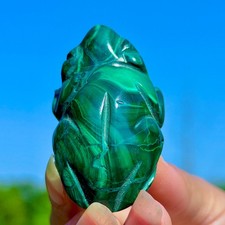 48G Natural glossy Malachite Crystal Hand-carved Frog mineral sample healing picture