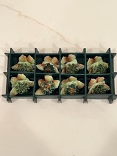 Royal Adderley Floral Porcelain Place Card Holder Set of 8 picture