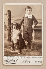Antique St. Paul Boy & Dog Photo — Harry Shepherd Studio c.1890s RPPC picture