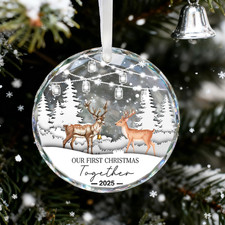 2025 Our First Christmas Together Ornament, 1St Married Christmas Keepsake, Cry picture