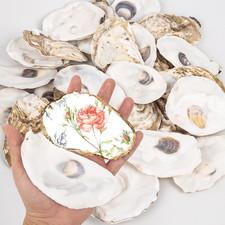 QICQDRAM 20PCS Flat Oyster Shells for Crafts 4-5