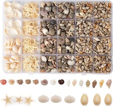 1300+Pcs Tiny Seashells for Crafts, Small Sea Shells in Bulk with Mini Starfish picture
